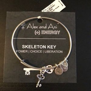 Alex and Ani silver bracelet
